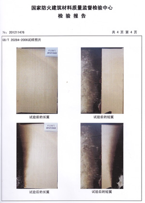 蜜桃APP污污版燃燒性能檢驗報告(中)