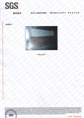 蜜桃APP污污版檢查報告SGS（中）