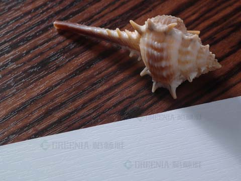 X麵.jpg