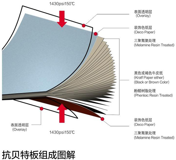 蜜桃APP污污版抗倍特板組成圖解