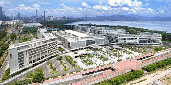 香港大學深圳醫院 香港大學深圳醫院